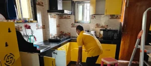 Professional Cockroach Control: What Actually Happens During a Treatment